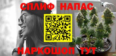 прущая мука Абакан