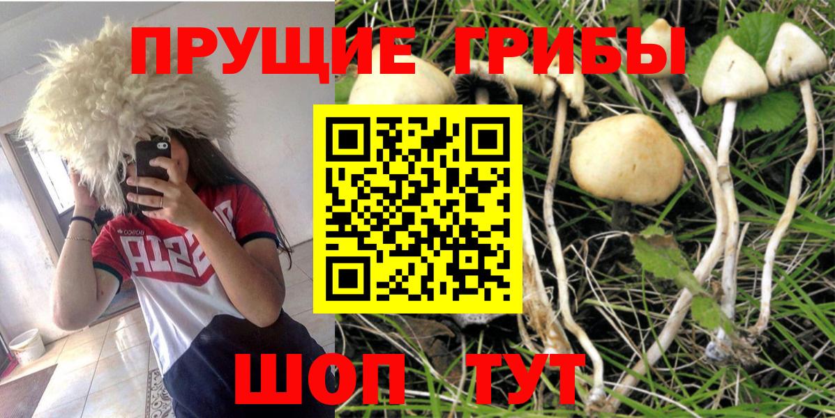 Галлюциногенные грибы мицелий Нягань